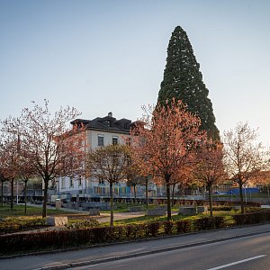 Schule 1